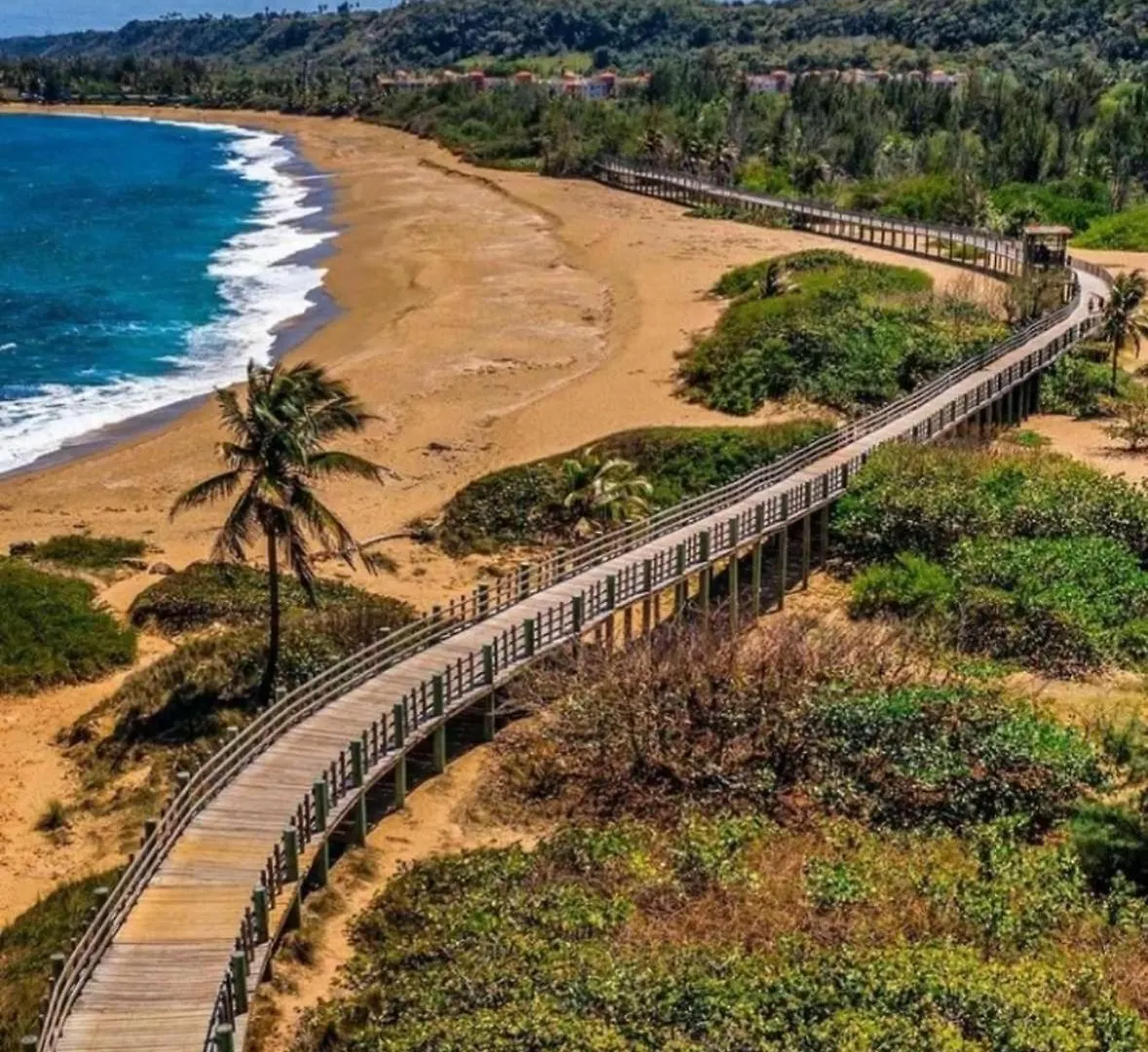 Cozy Apartment At Montones Beach إيزابيلا 0*,